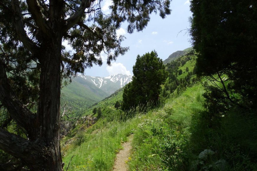 Aksu Zhabagly State Nature Reserve