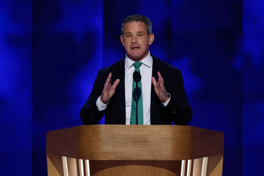 Kinzinger blasts Trump, encourages Republicans to vote for Harris in primetime DNC speech