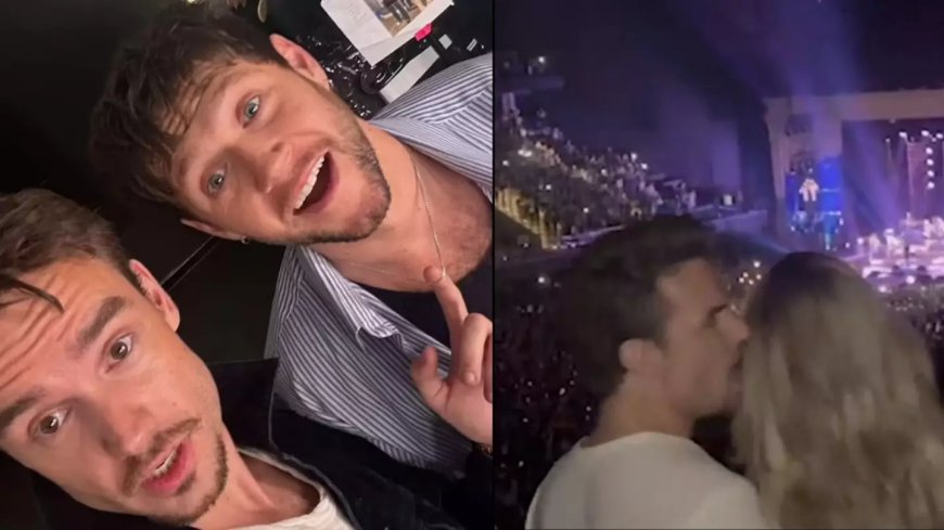 Heartbreaking video shows Liam Payne enjoying Niall Horan concert with girlfriend just days before his death