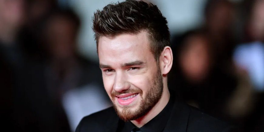 Liam Payne Was Dad of a 7 Year Old Son  5 Public Photos That Left Fans in Awe