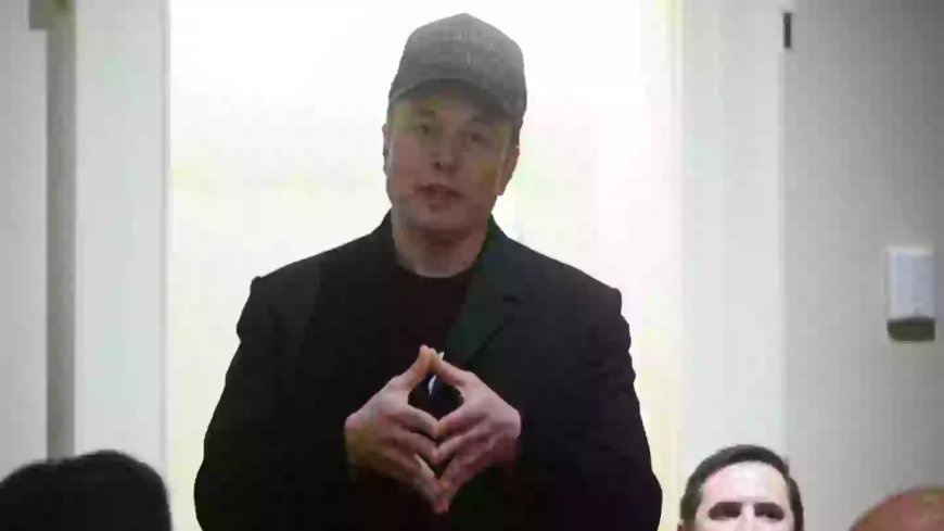Elon Musk hits out at President Zelenskyy after Donald Trump accused him of gambling with World War 3